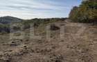 Teren extravilan in suprafata de 3 hectare