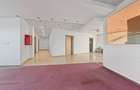 Showroom de vanzare, Calea Romanului - Bacau - 9