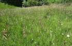Teren intravilan situat in Predeal - 1