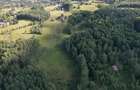 Exclusivitate | Teren de vanzare, 38.781 mp in Ra?ca - 9