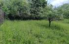 Teren intravilan, 1.584 mp, Com Talea, Jud Prahova - 4