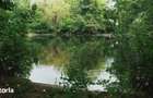 Domeniu cu Lac,Izvoare naturale ?i Insula,Giurgiu,Vanatorii Mici,6,3HA - 6