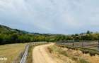 Teren De Vanzare In Zona Purcareti, Jud. Alba. 17800 Mp.