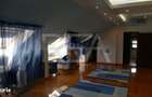 Vila Exclusivista | Piscina si 1877 m.p teren | Erou Iancu Nicolae