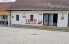 Proprietate de vanzare in Sard, 4 camere si drum asfaltat - 20