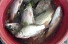 Vand teren 5 ha, teren cu lac de pescuit ?i agrement 4 ha - 6