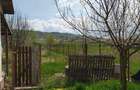 Casa cu teren generos la marginea Parcului Dendrologic - 12