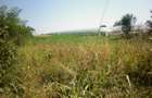 Vidra, teren 4800 mp, (sau 1200) deschidere la asfalt 19 m