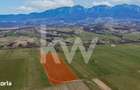 Teren intravilan Zarnesti, Zona Penny | 25 Euro/ mp - 2