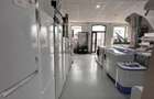 De inchiriat spatiu comercial in Roman, teren generos, Pret: 6\mp - 5