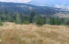 Teren extravilan de vanazre, 42.152 mp, zona Saru Dornei - 7
