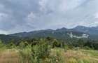 Teren intravilan, 1.724 mp, zona Sinaia - 3