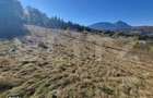 Teren pentru casute de vacanta - Poiana Marului - vedere la M. Piatra - 1