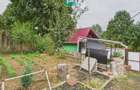 Căsuță de vacanță pentru pescari în Lipova - 3