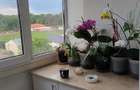 Vanzare apartament 3 camere - 6