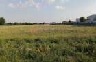 Teren industrial de vânzare , Timișoara. Autorizație de construire inclusă - 4