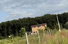 Teren 500 mp Ghermanesti - com.Snagov- la padure- direct proprietar-30 min Bucuresti - 8
