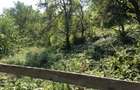 Teren de vinzare in Cheia(Olanesti) - 2