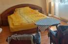 Casa unifamiliala de vanzare zona linistita Sighet - 9