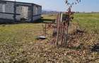 Casă cu 3 camere cu Teren 12 Mp în Coaș - 7