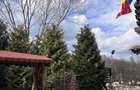 Casa de vanzare Predelut, Bran | Direct Proprietar - 6