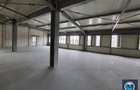 Spațiu industrial, de 798.54998779297 mp, în Exterior Vest - 9