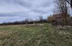 Teren Construcții de 18000 mp, în Urleta - 13