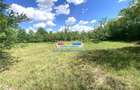 Vanzare teren intravilan Baicoi Prahova - 9