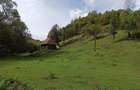 Teren de 3000 mp, în Ponor - 2