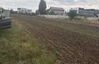 Teren de 390 mp, în Berceni - 1