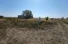 Frumusani post trafo - 6