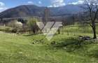 Teren agricol de 6630 mp, în Cisnădioara - 1
