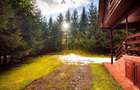 Cabane cu 10 camere Arieseni - 19