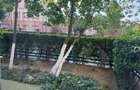 Apartament cu 3 camere decomandat în Titan - 12