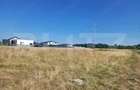 Teren intravilan de 700 mp, în Mihai Viteazu - 2
