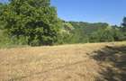 15 Hectare teren la munte ?inutul Padurenilor - 9