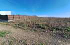 Teren 700m2 intravilan Catamaresti Deal - 2