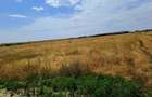 Teren intravilan Carcea , 415 mp , cu front stradal 14,78 m - 1