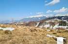 Teren Construcții de 150000 mp, în Șirnea - 7