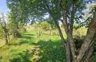 Casa de vanzare la 10 km de Beclean teren 1.600 mp