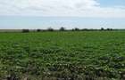 Teren extravilan Roata de Jos 1,04 hectare - 2