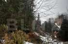 Teren unic, exclusivist 4000 mp, in inima muntilor, Sinaia - 4