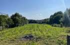 Vand Casa + teren 12.000 mp in Cernisoara, sat Modoia, Valcea - 6