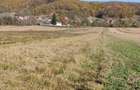 Vand 8000 mp teren extravilan Draganu-Prislopu Mic - 1