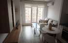 Apartament tip studio de inchiriat in Cosmopolis - 3