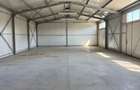 Spatiu comercial 280 mp + 700 mp curte, Filiasi - 1