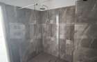 Apartament cu 2 camere decomandat în Băile Felix - 4