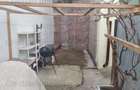 Casă cu 4 camere cu Teren 22 Mp în Brăila - 18