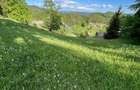 Vand tern Intravilan - 4