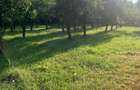 teren intravilan - curtea de arges - 4